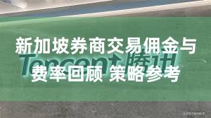 新加坡券商交易佣金与费率回顾 策略参考